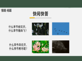 2025年秋青岛版二年级科学上册9 我们与四季（教案+课件）