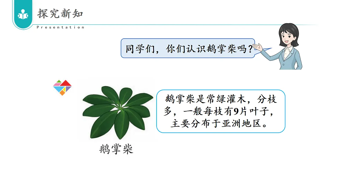 17322763第7页
