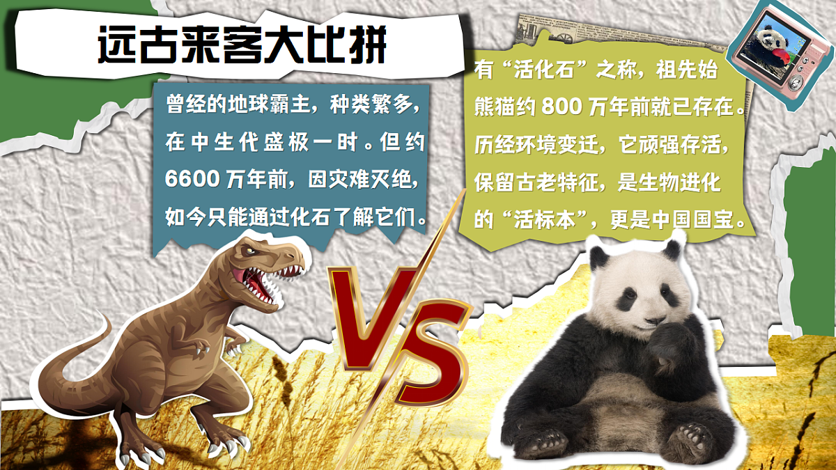 17322765第1页