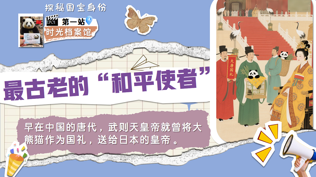 17322765第5页