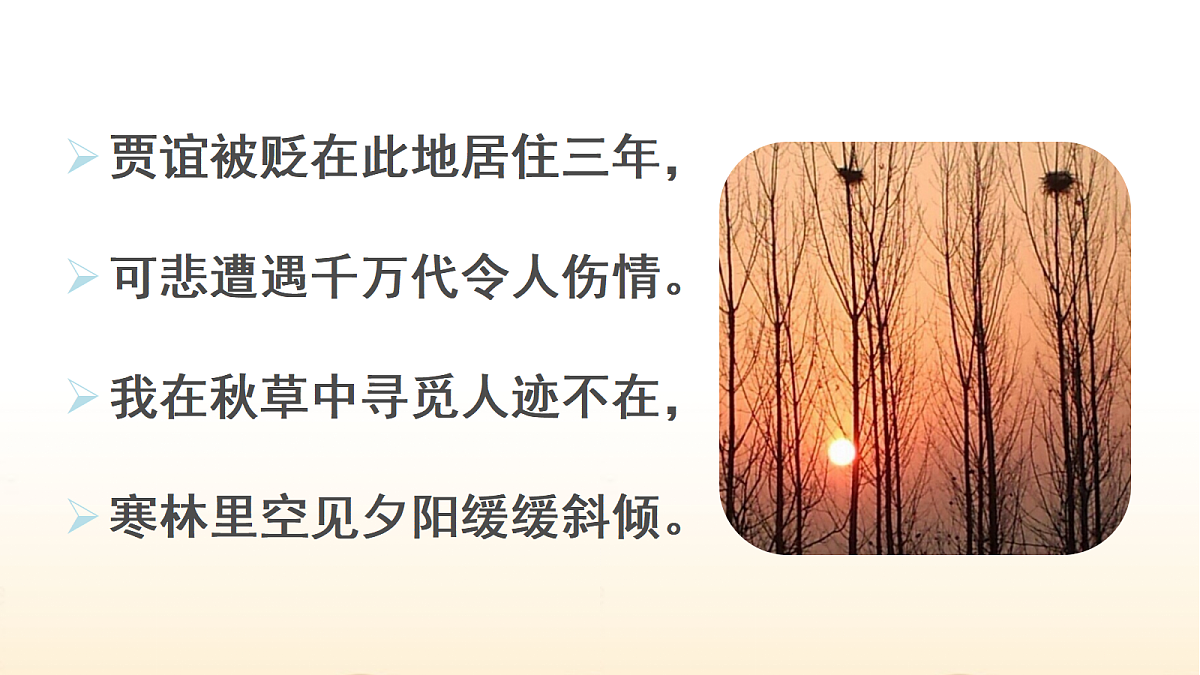 17322779第6页