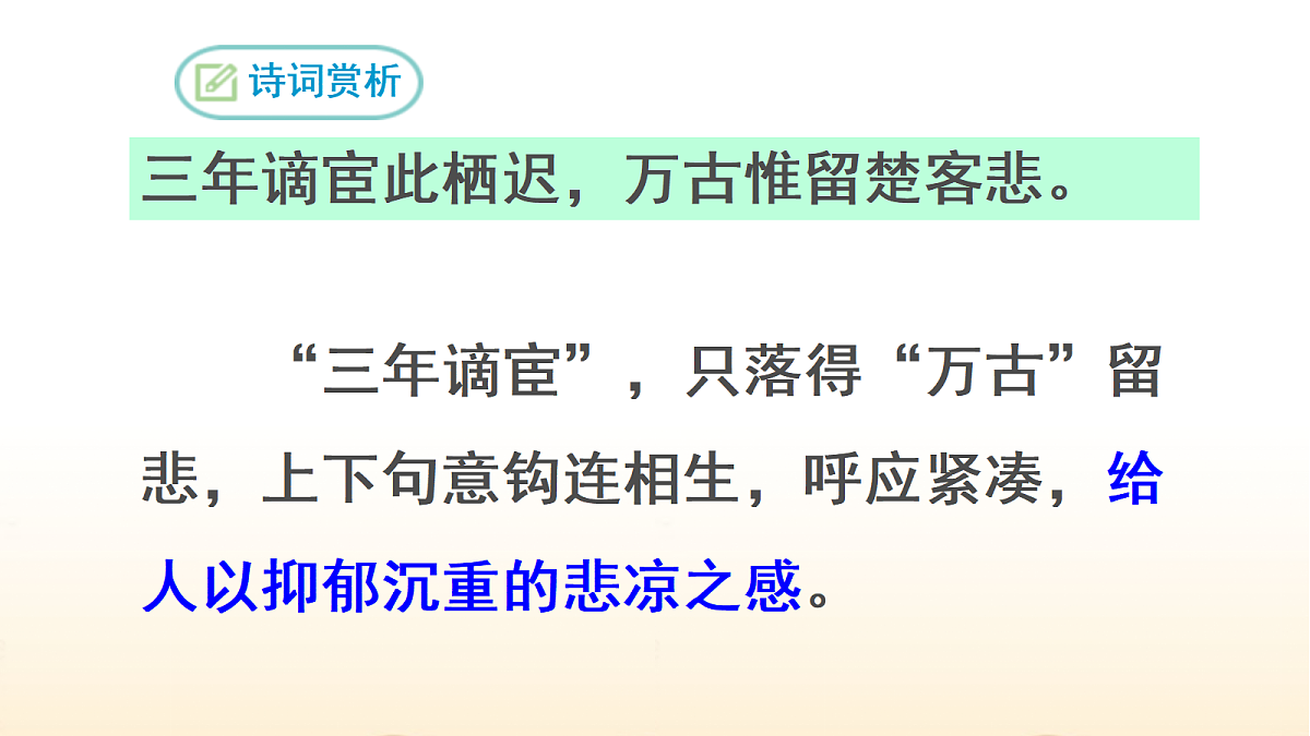 17322779第8页