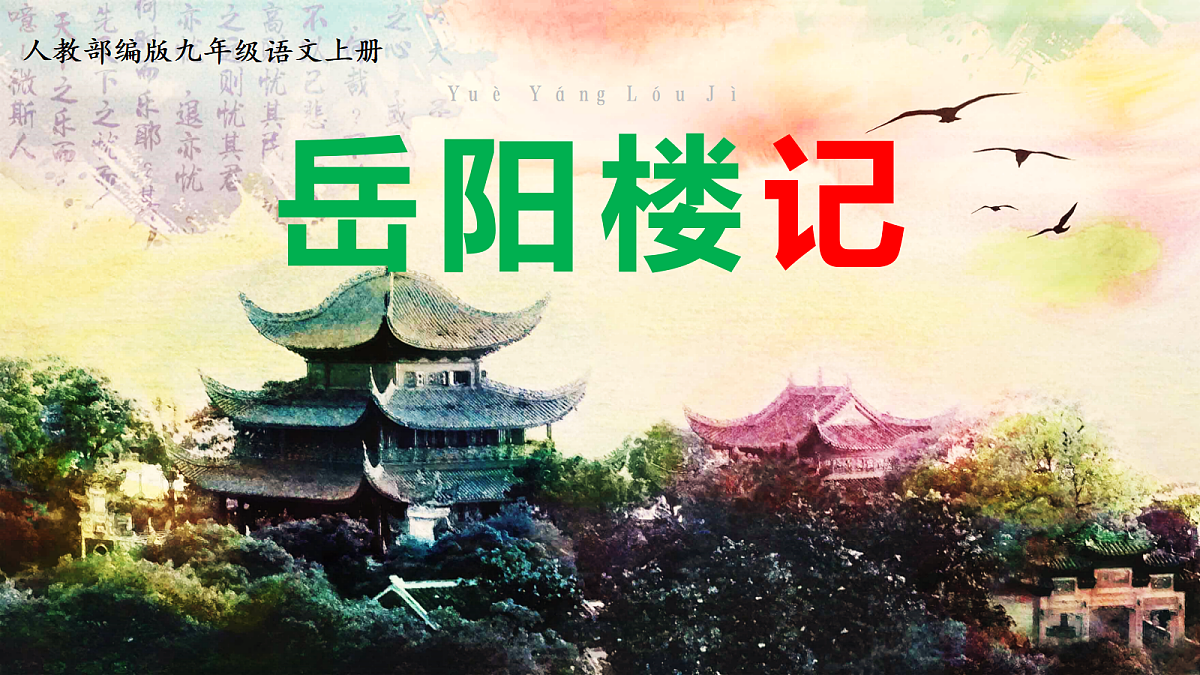 17322782第1页