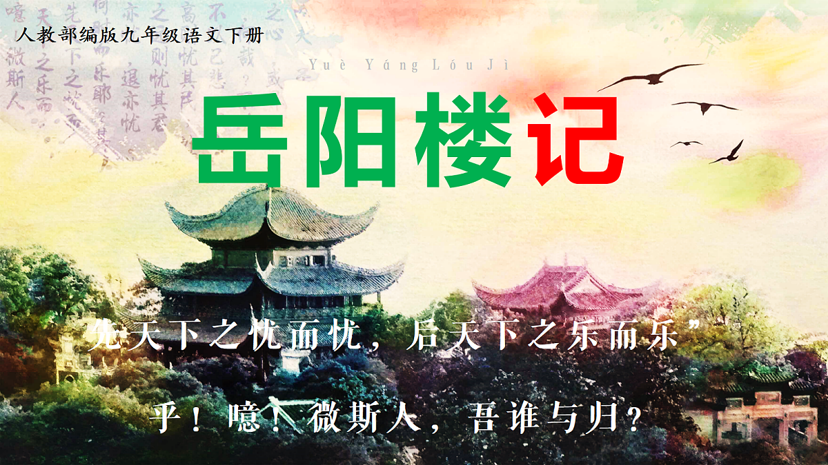 17322784第1页