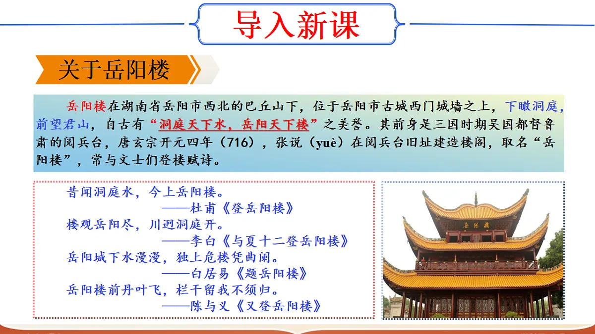 17322793第5页