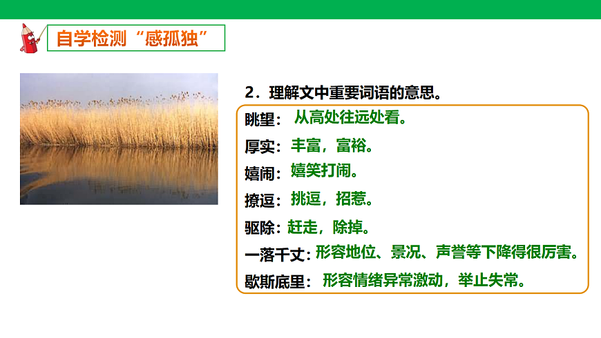 17322803第4页