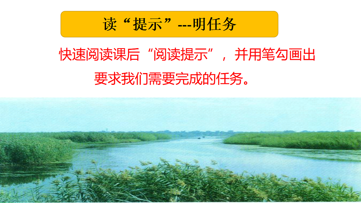17322817第3页
