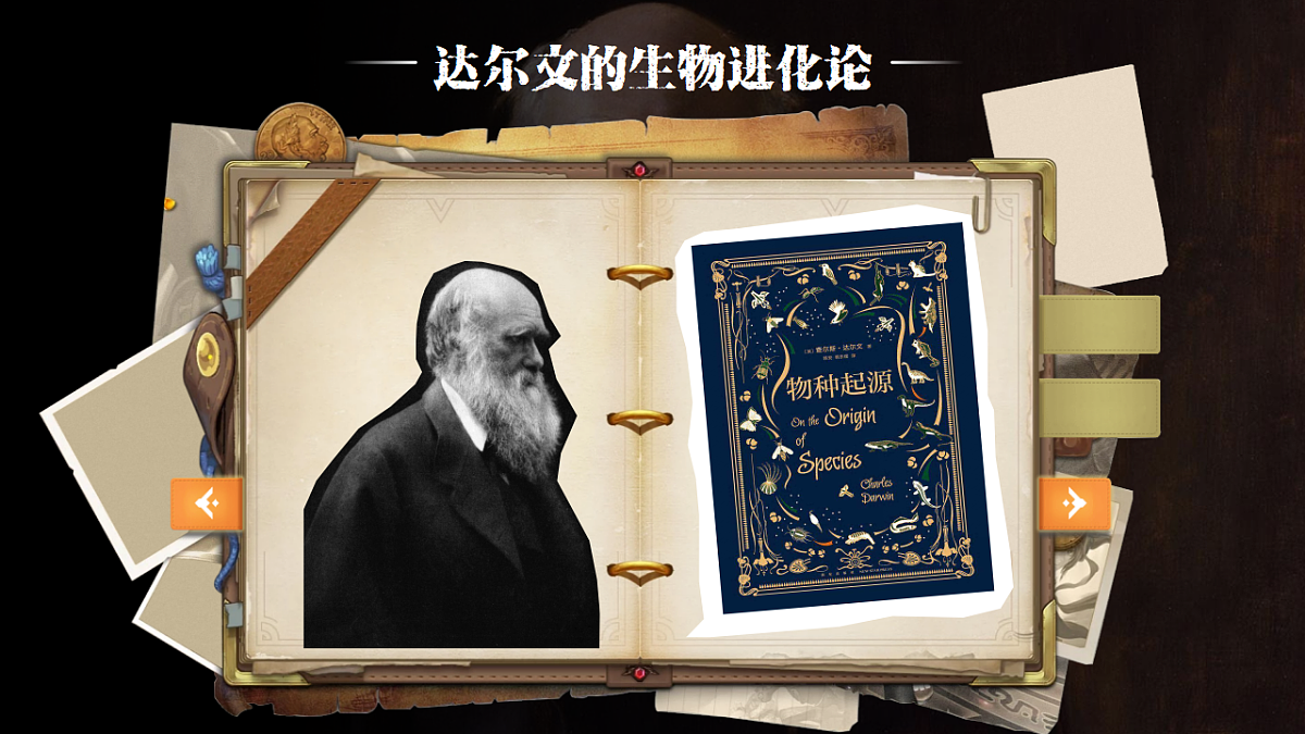 17323121第4页