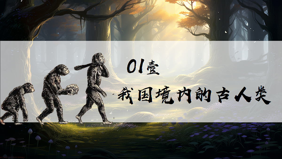 17323121第7页