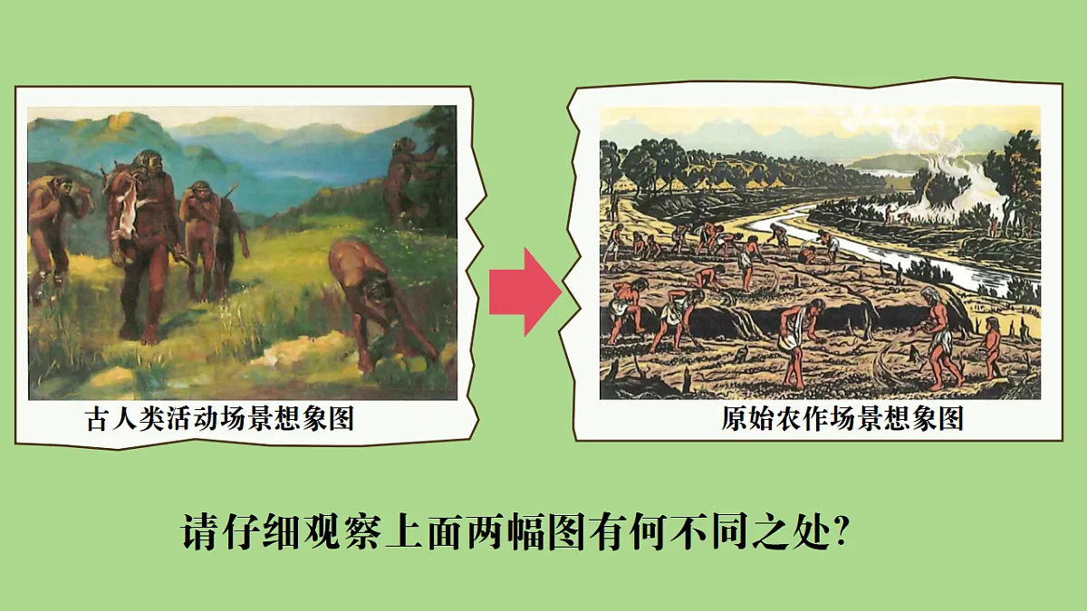 17323122第1页
