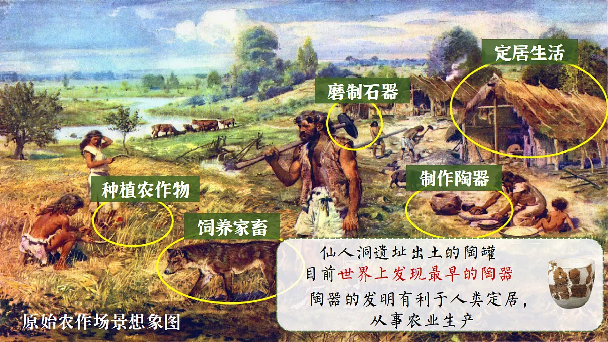 17323122第5页