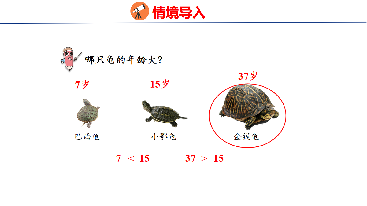 17323375第3页
