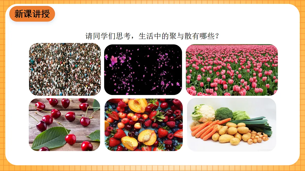 17323395第5页