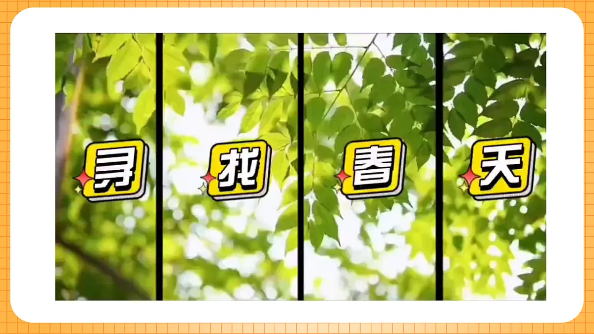 17323405第5页