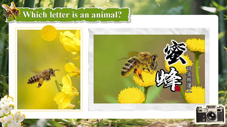 Unit 4 Amazing Plants and Animals (第4课时) Section B 1a-2c第6页