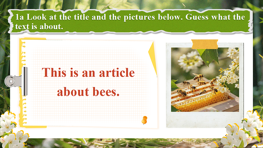 Unit 4 Amazing Plants and Animals (第4课时) Section B 1a-2c第8页