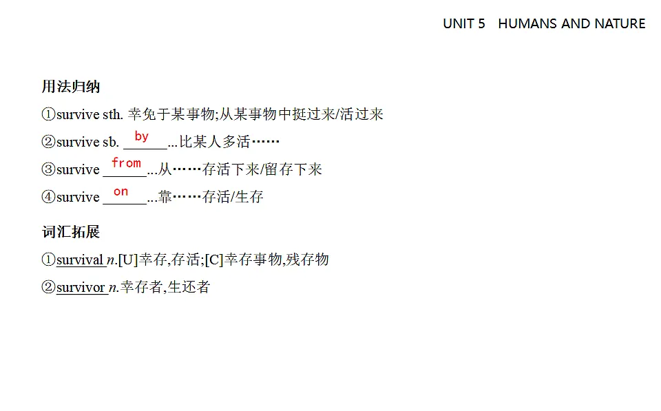 17323921第4页