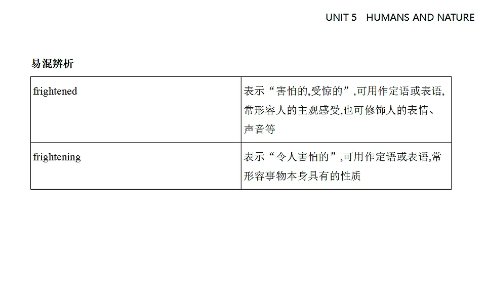 17323921第8页