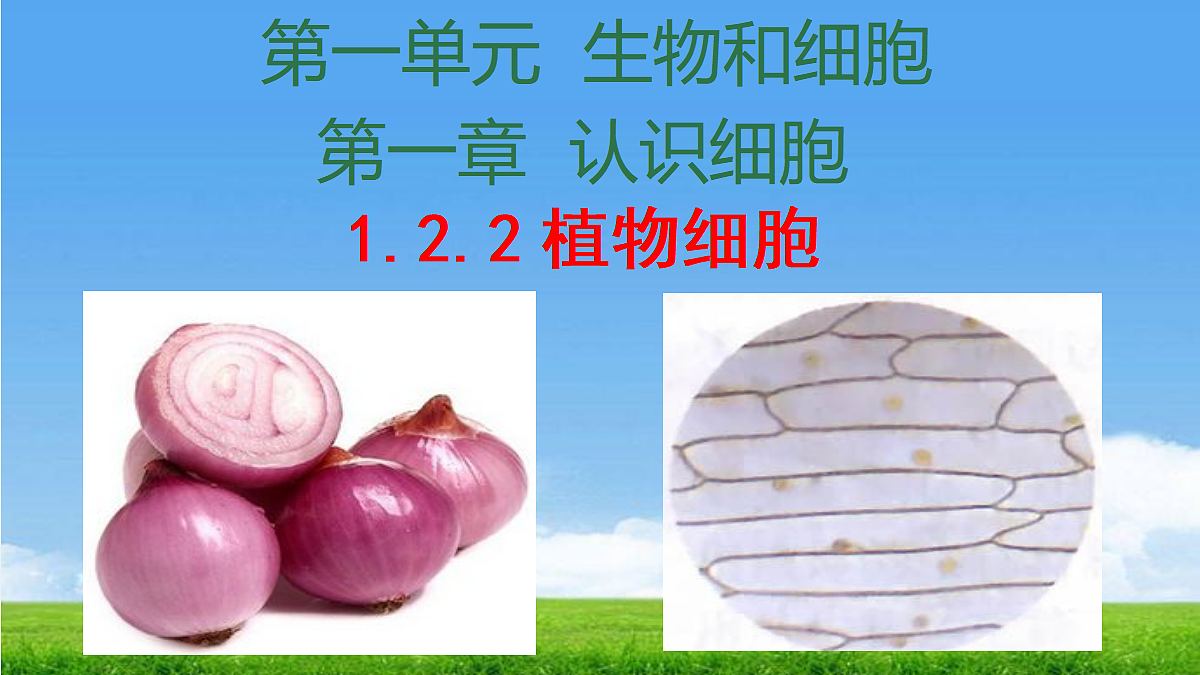 17324206第1页