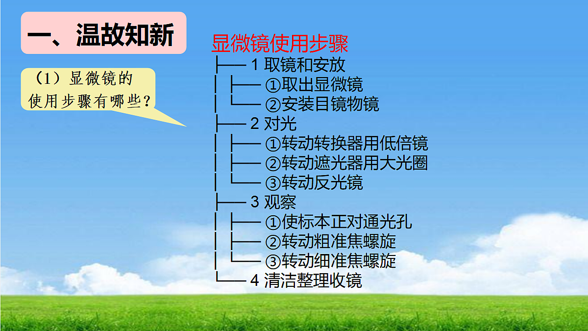 17324206第2页
