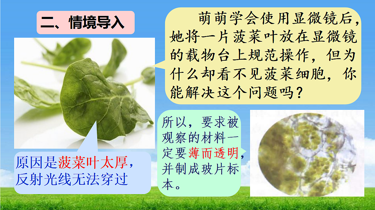 17324206第4页