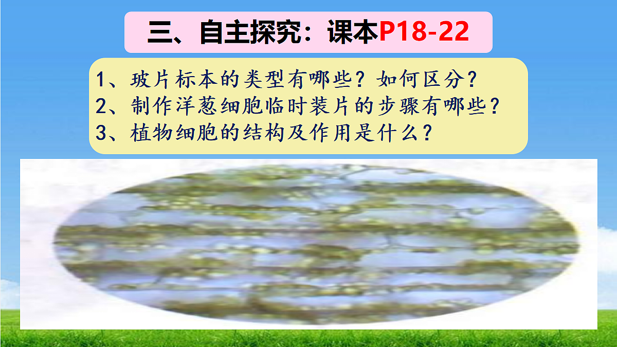 17324206第5页