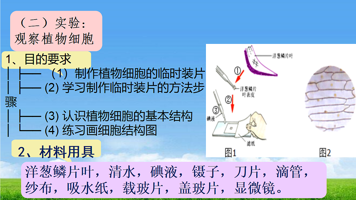 17324206第7页