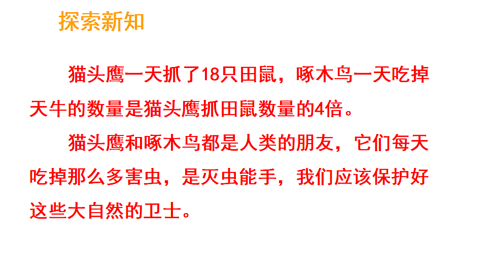 17324216第4页