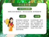 綠色卡通夏季防暑降溫指南 課件