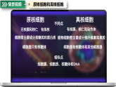 人教版高一（上）必修1生物1.2.2原核细胞和真核细胞【课件】