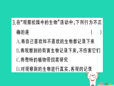 2025七年级生物上册第一单元生物和细胞第一章认识生物第一节观察周边环境中的生物作业课件新版新人教版（含答案）