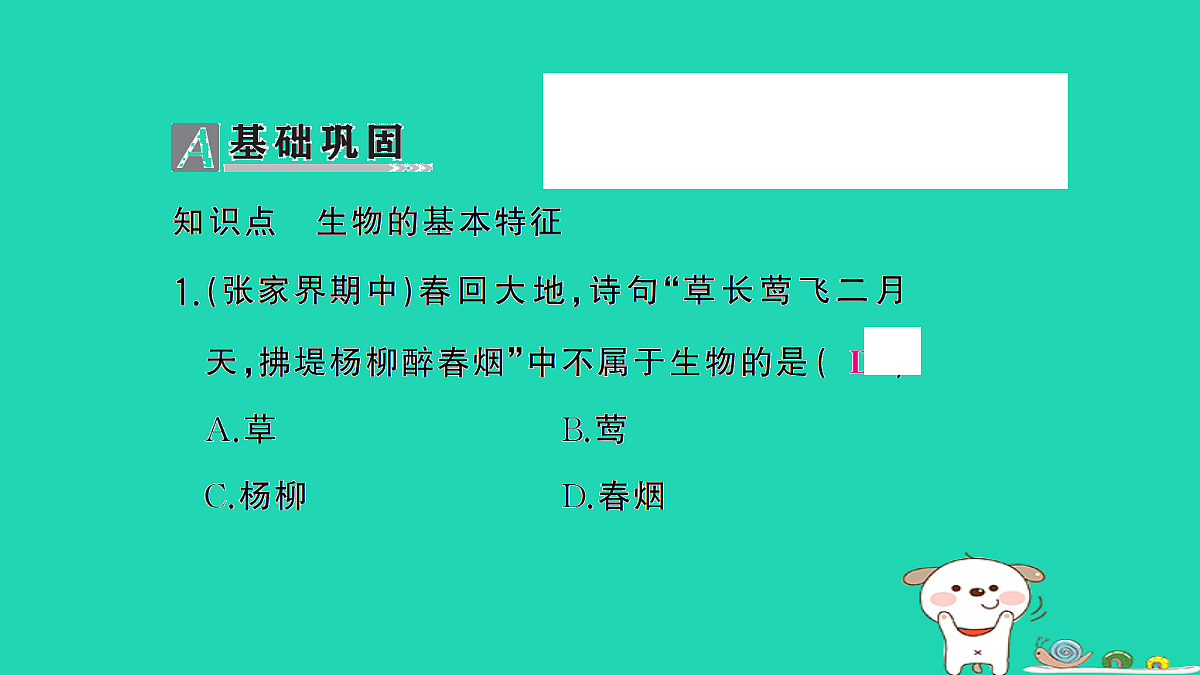 17325135第2页