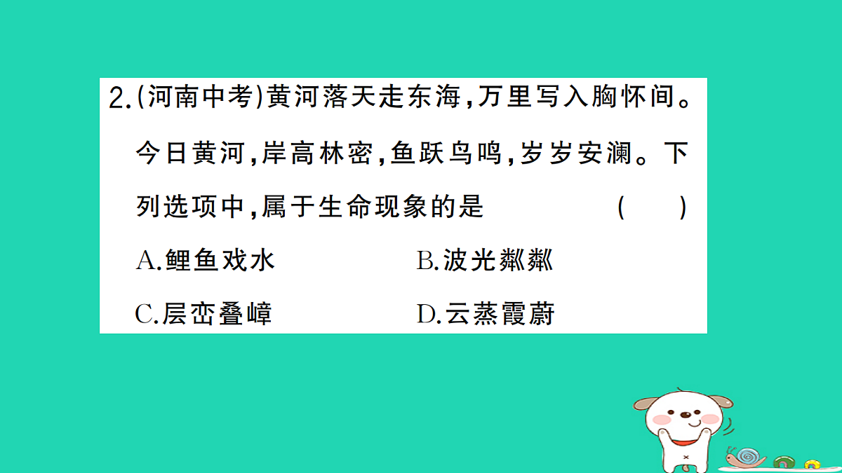 17325135第3页