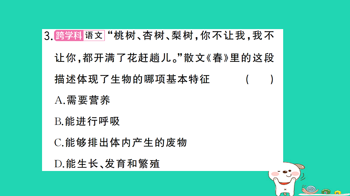 17325135第4页
