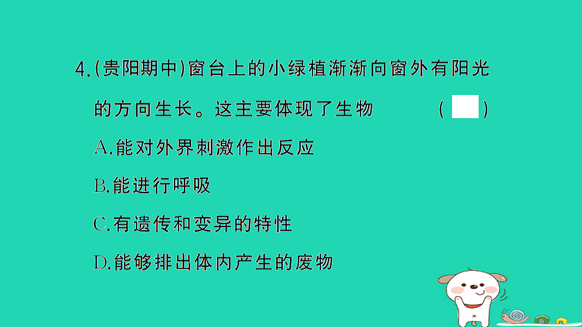 17325135第5页
