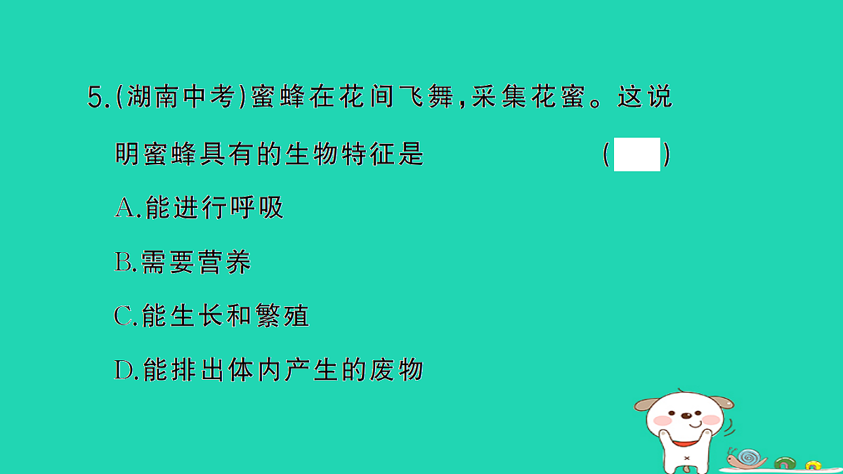 17325135第6页
