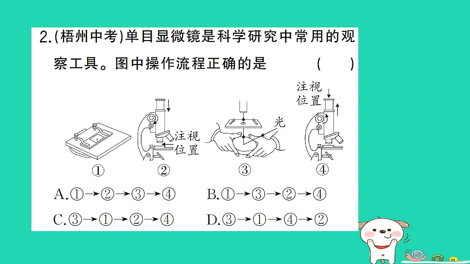 17325136第3页