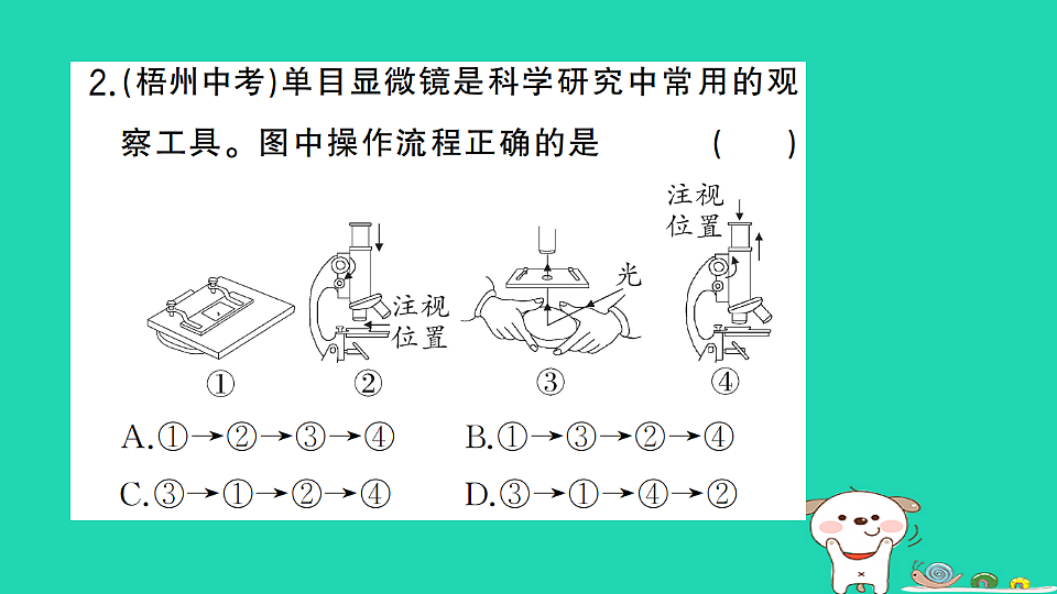 17325136第3页