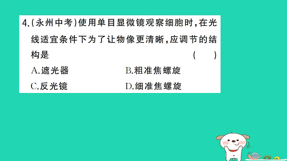 17325136第5页