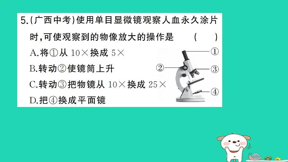 17325136第6页