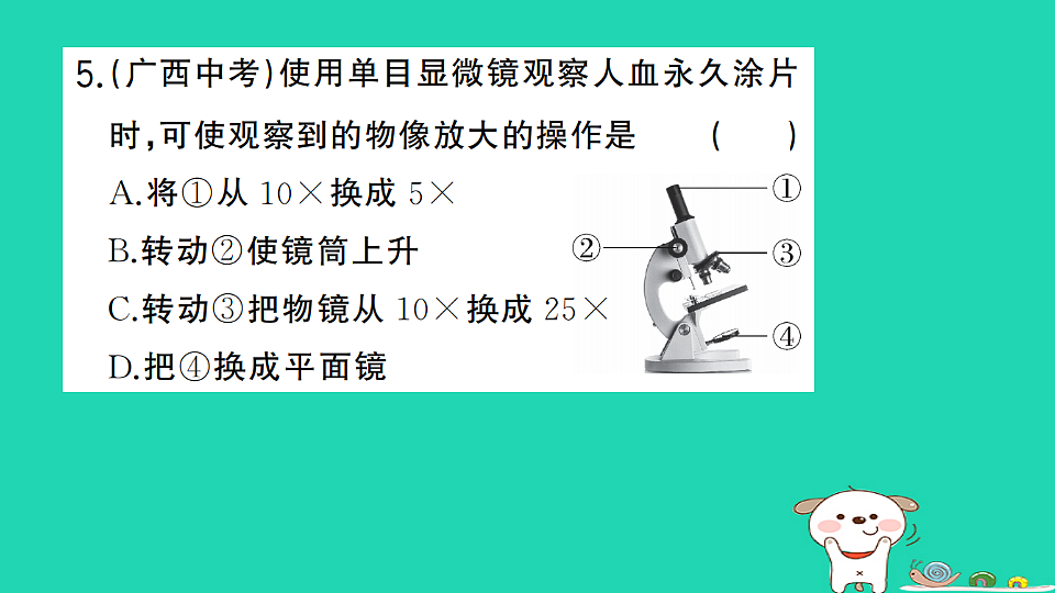17325136第6页