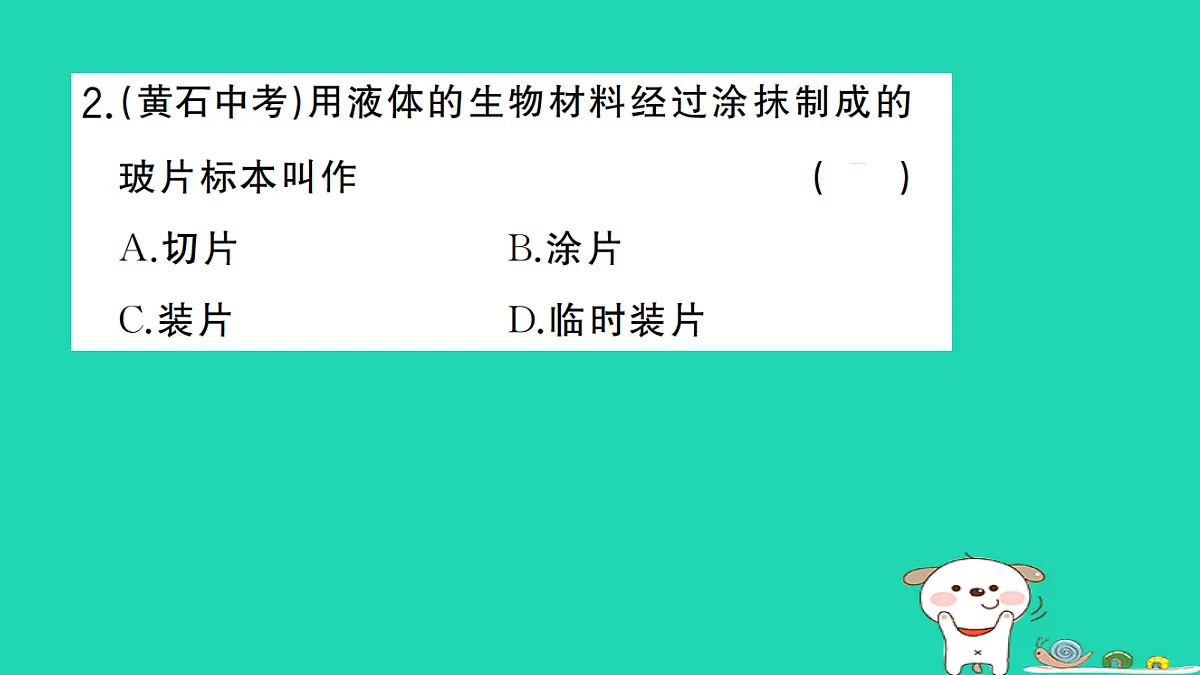 17325137第3页