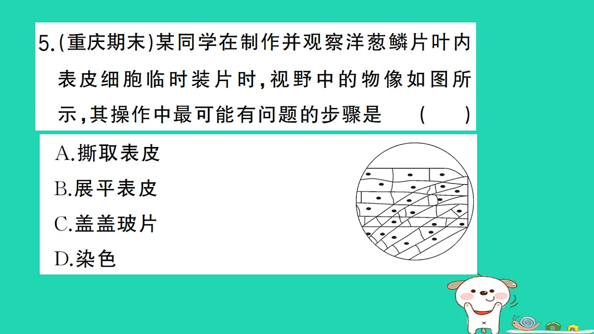 17325137第6页