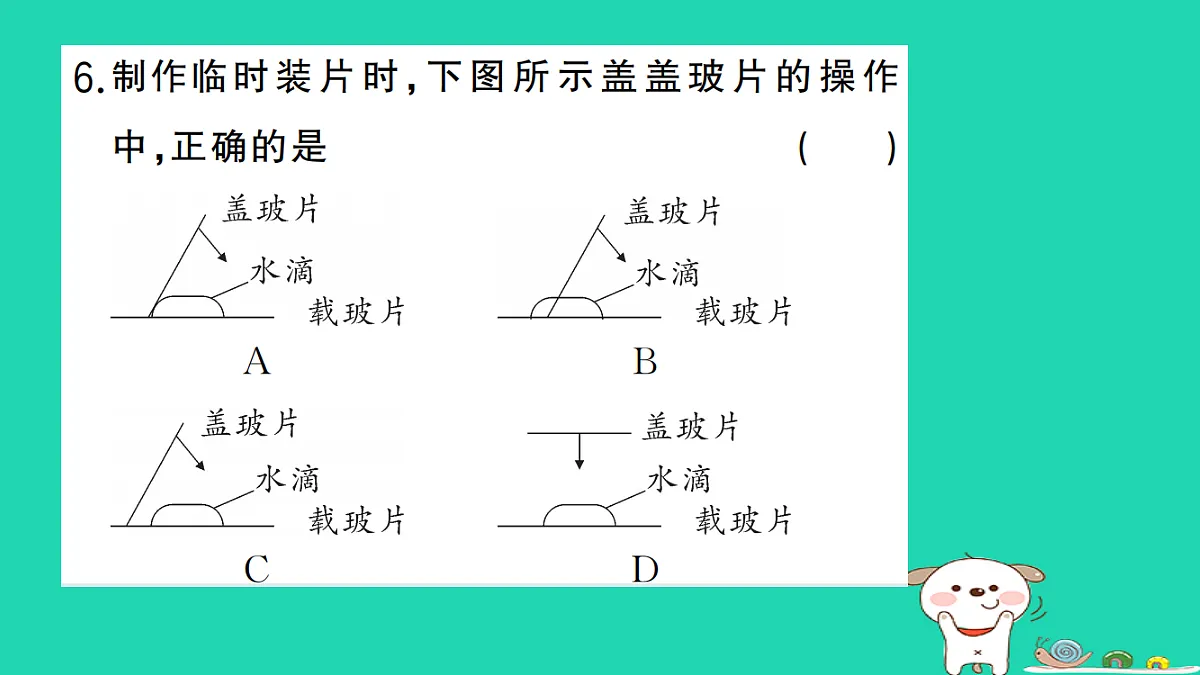 17325137第7页