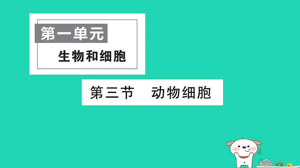 17325138第1页
