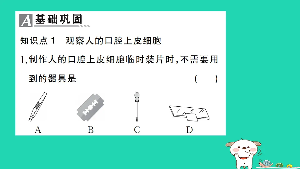 17325138第2页