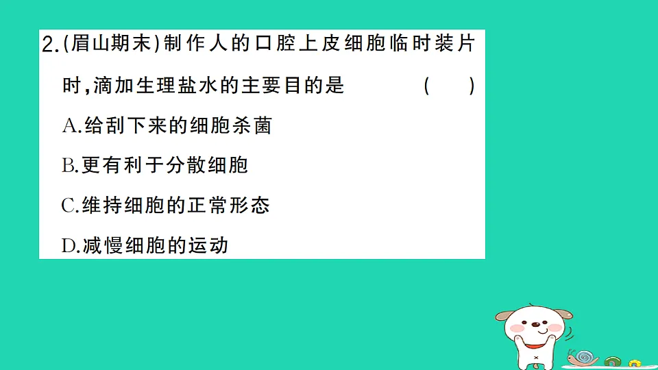17325138第3页