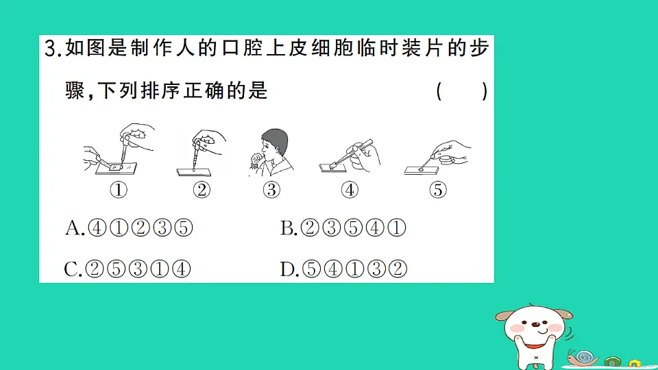 17325138第4页