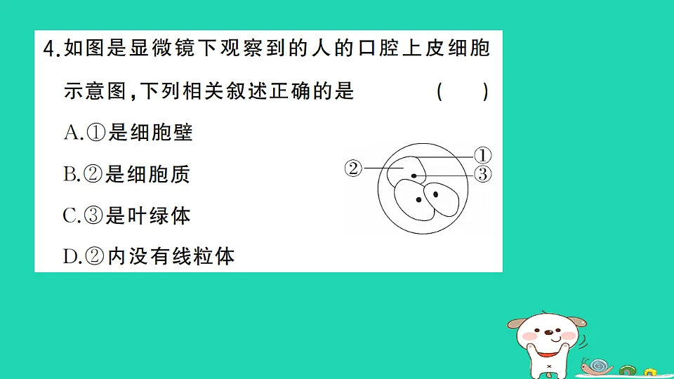 17325138第5页