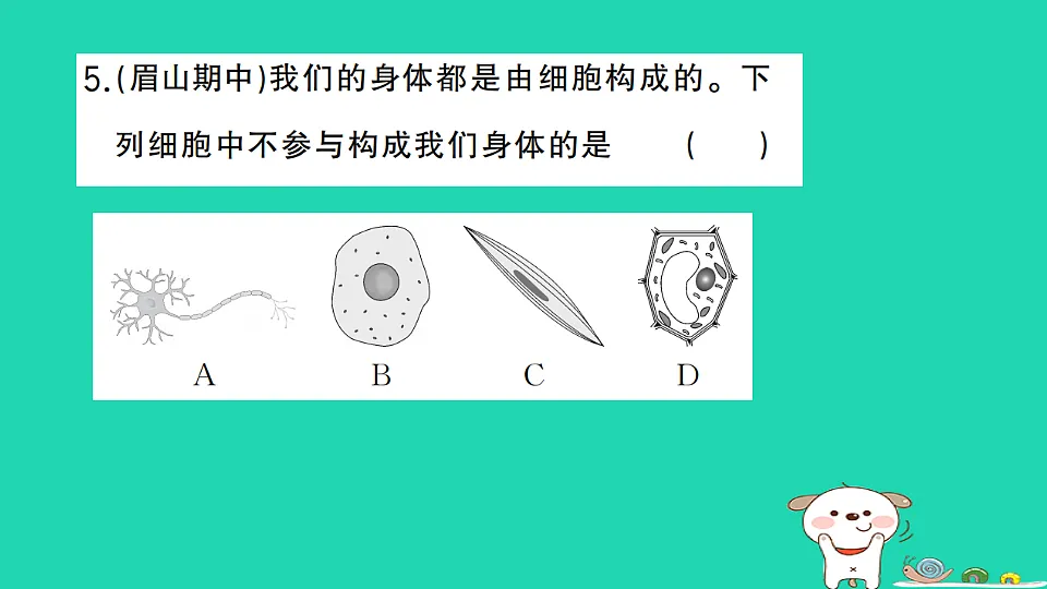 17325138第6页